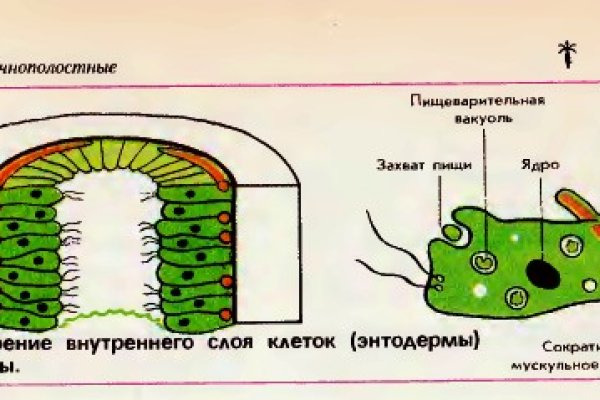 Kra39.cc Вход на сайт главная страница