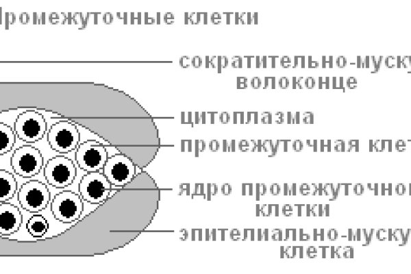 Кракен онион ссылки