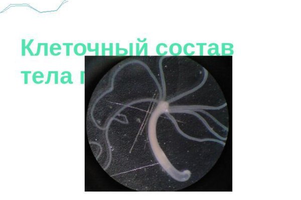 Kra47.at
