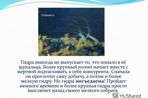 Кракен сайт биз