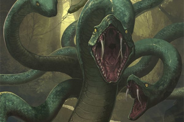 Kraken whitenet marketplace