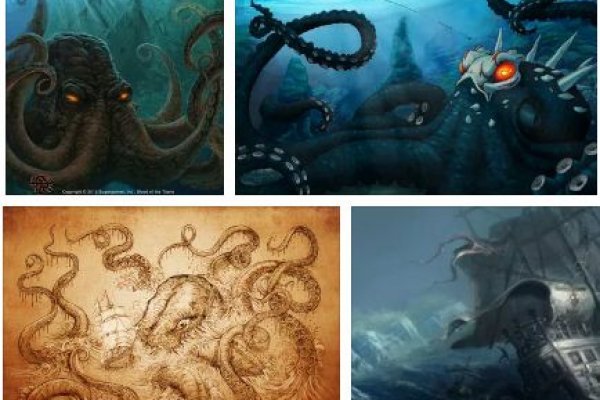 Kraken whitenet store