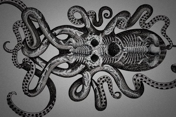 Kraken зеркала kr2web in