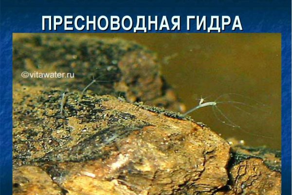Настоящая ссылка на кракен