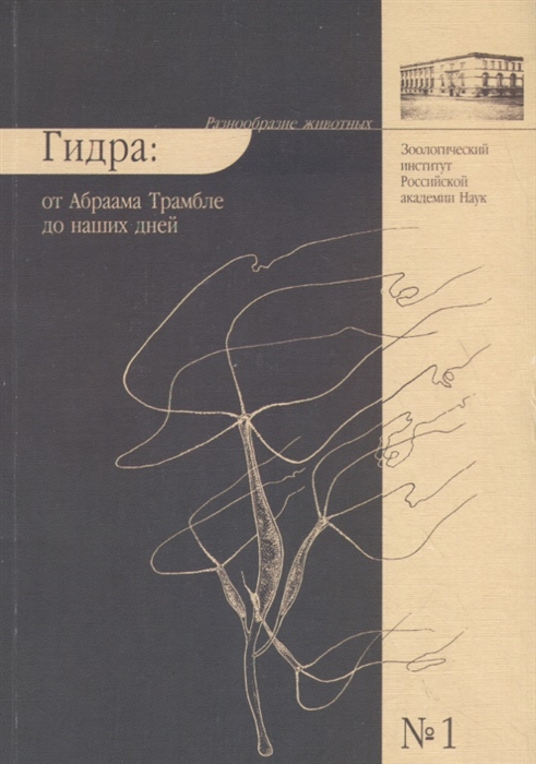 Сайт кракен что это такое