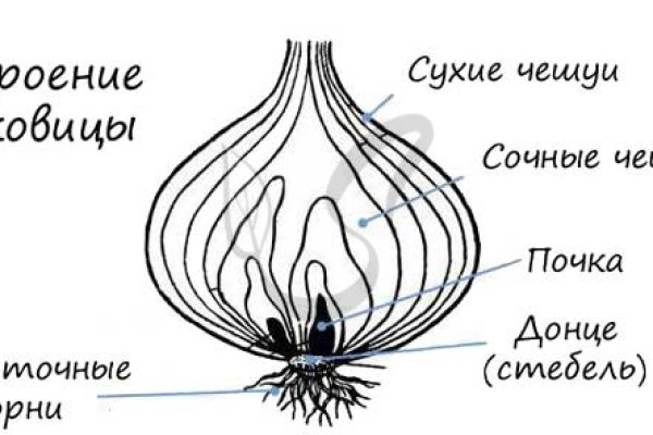 Как пополнить кошелек на кракене супернет