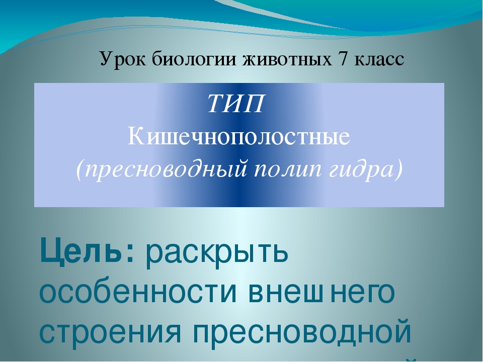 Забыл пароль от кракен