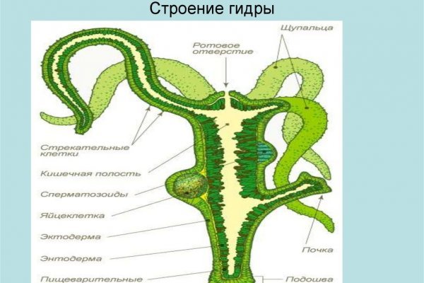 Как зарегистрироваться в кракен в россии