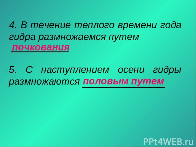 Что с кракеном сайт
